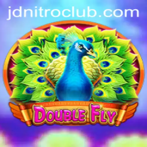 Exploring DoubleFly: The New Era of Interactive Gaming with JD Nitro